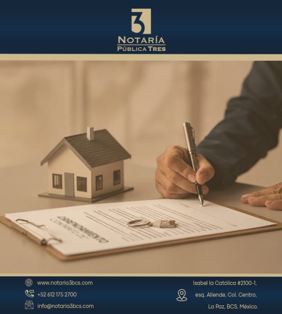 🔒 Rentar con un contrato bien elaborado puede evitarte muchos problemas en el futuro.

Un Contrato de Arrendamiento brinda claridad y respaldo legal tanto para propietarios como para arrendatarios 🏡.

En Notaría 3 BCS te orientamos para que tu contrato contemple las condiciones necesarias y todo quede establecido de forma clara y segura.

📍 La Paz, BCS
🕐 Lunes a Viernes | 9:00 a 17:00 h
📞 612 175 2700
🚗 Estacionamiento por Calle Allende

¿Tienes dudas sobre cómo iniciar tu contrato? Escríbenos o llámanos.

#LaPazBCS #BCSmx #RentaSegura #SeguridadLegal #Notaría3BCS